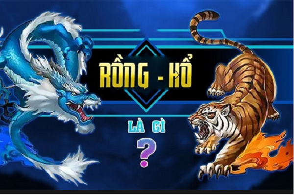 Đôi nét giới thiệu về Rồng Hổ PG88