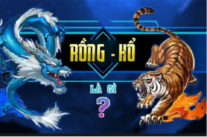 Đôi nét giới thiệu về Rồng Hổ PG88